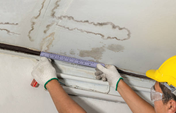 Reliable Water Removal contractor in Columbiaville, MI by Water Damage Irwin